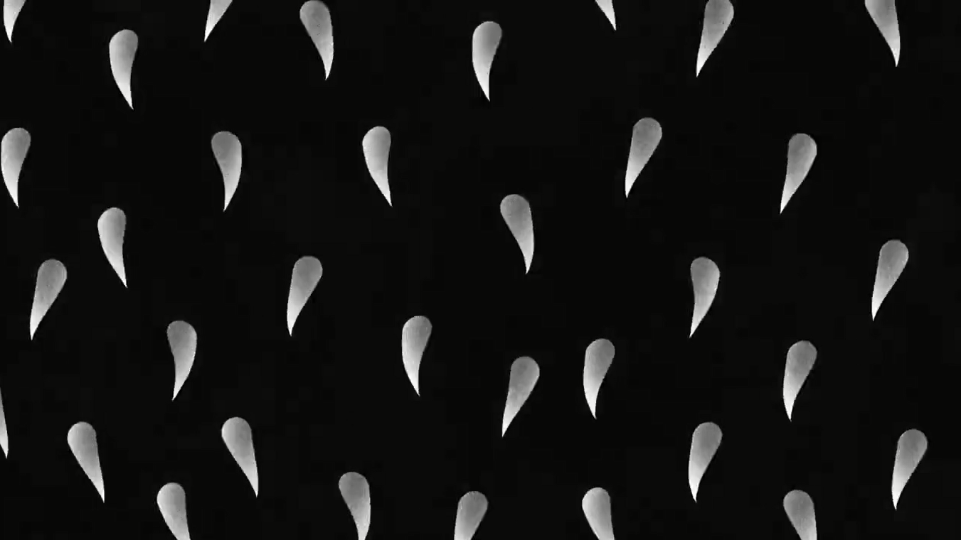 Pale Blue Dot — Carl Sagan | Motion Design | Raashid Ali by Raashid, a nominee on Motion Design Awards