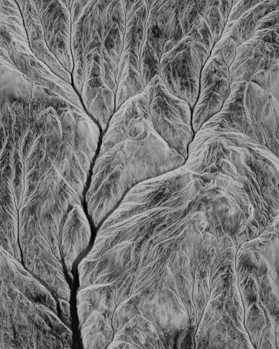 Still image of Particle Seasoning by a.lbos