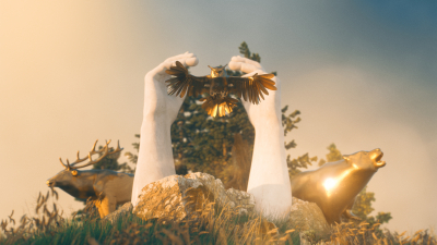 Still image of FSC Canada "Stand for Forests" by Good Form Studio