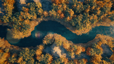 Still image of FSC Canada "Stand for Forests" by Good Form Studio