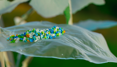 Still image of The Capperpillar by kdbra.studio