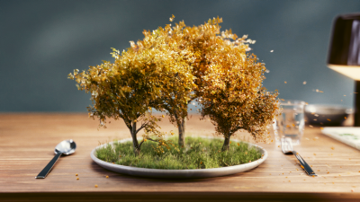 Still image of Food Forest - Ketelbroek by Freek Freriks