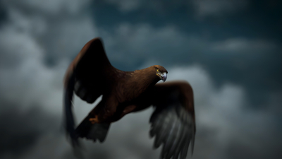 Still image of Basketball Club Astana by Daniyar Oskenbay