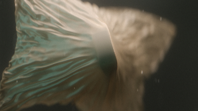 Still image of Intelliwatch by MLC Studios