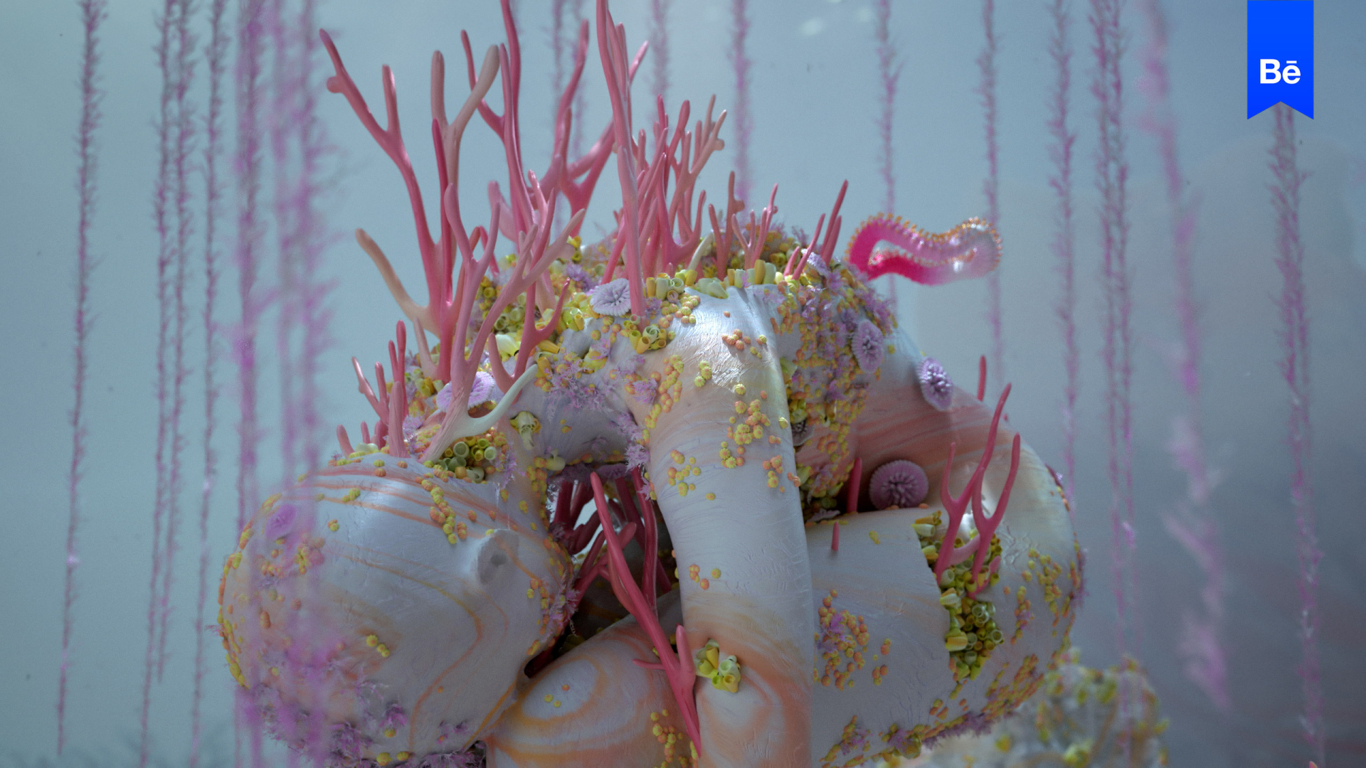 REEF by FA / FABIAN AERTS, a nominee on Motion Design Awards