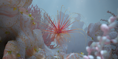 Still image of REEF by FA / FABIAN AERTS