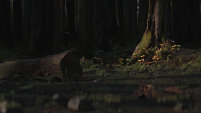 Still image of deBUG by Animation.Monks