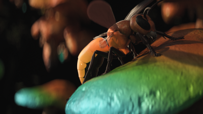 Still image of deBUG by Animation.Monks