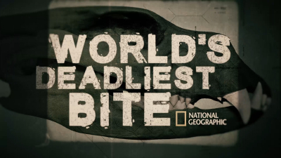 Still image of NatGeo World's Deadliest Bite by penmouse