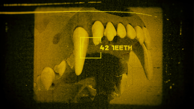 Still image of NatGeo World's Deadliest Bite by penmouse