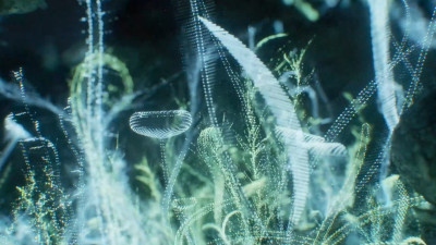 Still image of 2022 Show Reel - The Department of Motion Design - Ringling College of Art and Design by The Department of Motion Design - Ringling College