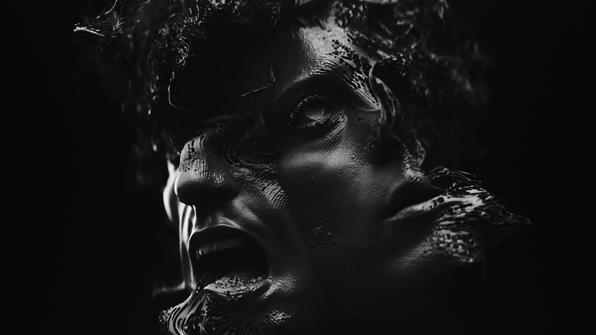 The Image of The Fox by Alec Iselin, a nominee on Motion Design Awards