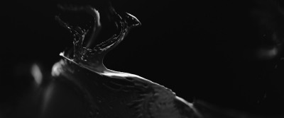 Still image of The Image of The Fox by Alec Iselin