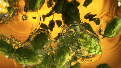 Still image of Zatecký Gus – Krepkiý by Resight Studio