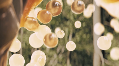 Still image of WINQS_FINAL_1 by Punctum Images