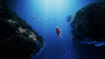 Still image of Oceani by Rocket Lab Creative