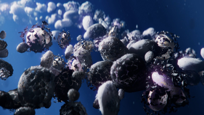 Still image of Oceani by Rocket Lab Creative
