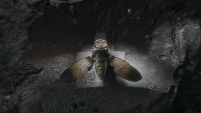 Still image of GENOMANCER - Pause Originals by Lukáš Demovič
