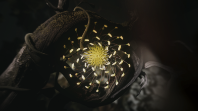 Still image of GENOMANCER - Pause Originals by Lukáš Demovič