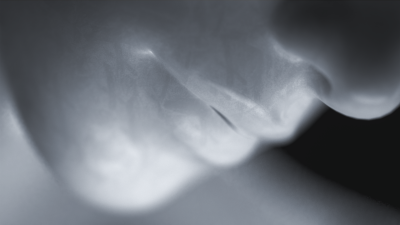 Still image of Still Optimist - With You by Mihaly Sipos
