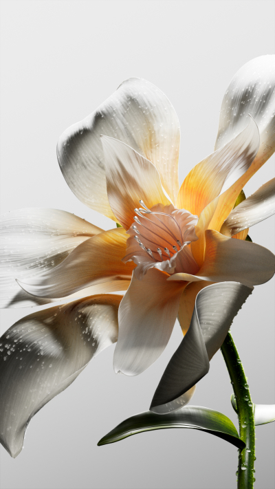 Still image of Fluid Matters by La Boom Studio