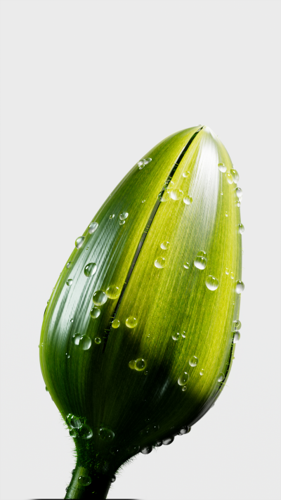 Still image of Fluid Matters by La Boom Studio