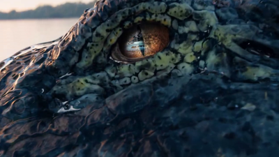 Still image of Supra SV by Already Been chewed