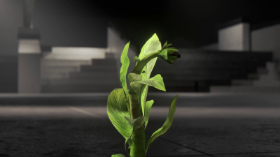 Still image of Cariuma Catiba x Berrics Release by Already Been chewed