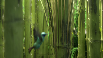 Still image of Cariuma: IBI Slip-on by Already Been chewed