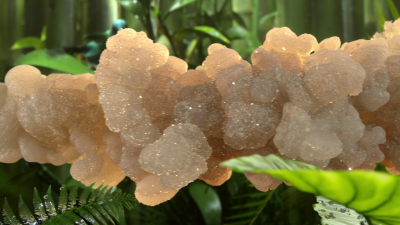 Still image of Cariuma: IBI Slip-on by Already Been chewed