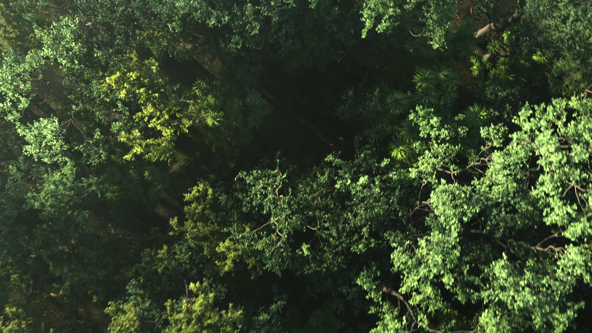 Cariuma: IBI Slip-on by Already Been chewed, a nominee on Motion Design Awards