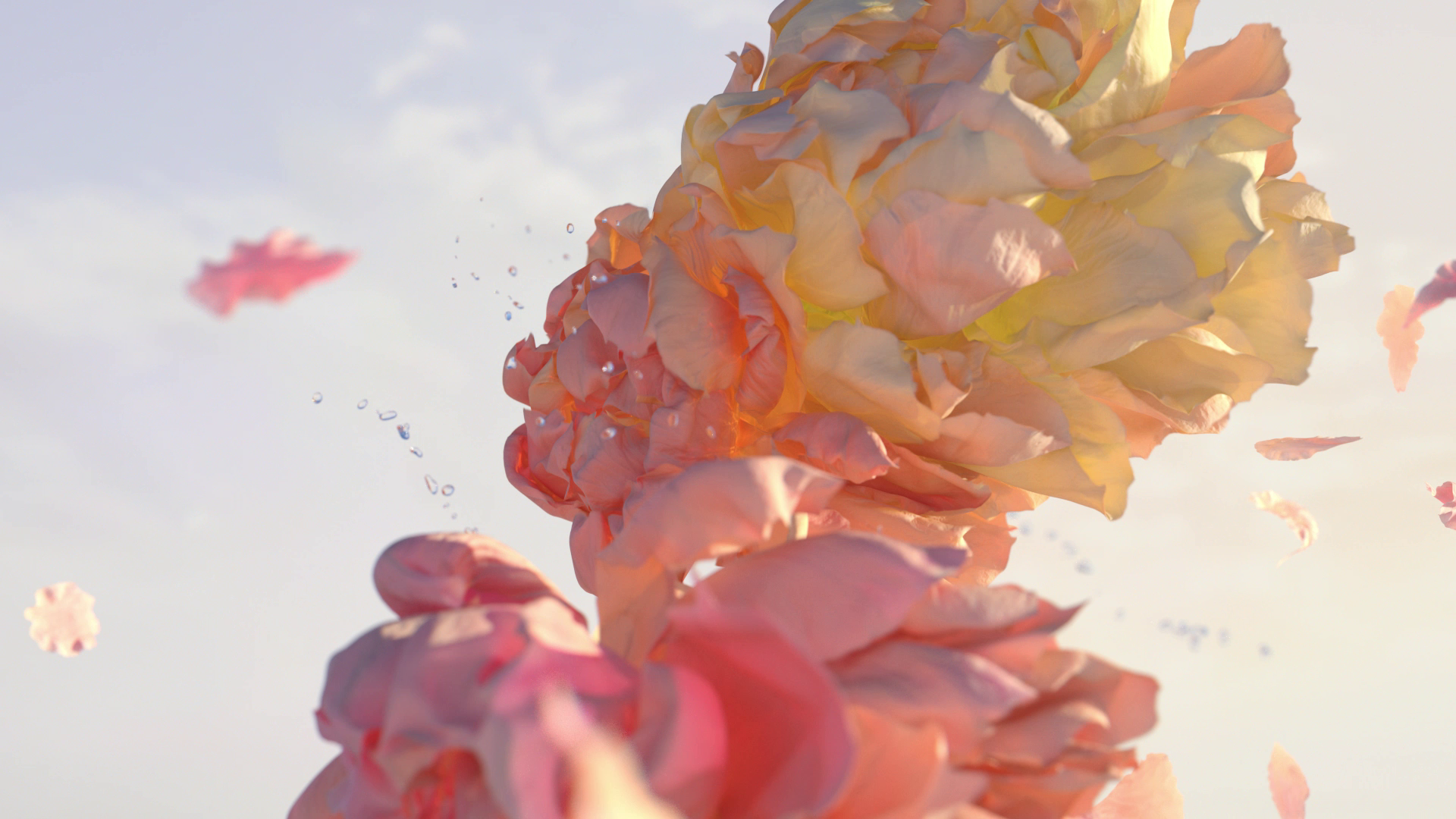 Louis Vuitton - Les Extraits Collection by Already Been chewed, a nominee on Motion Design Awards