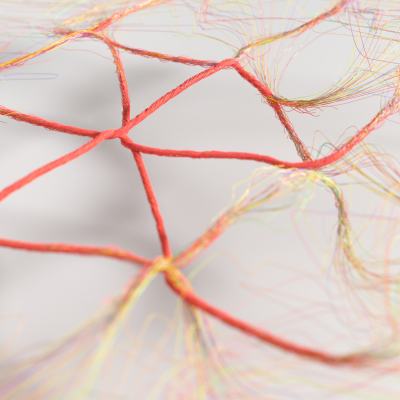 Still image of Oakley - Unity Collection by Already Been chewed