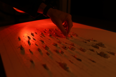 Still image of WWF - In Hot Water by NOMINT