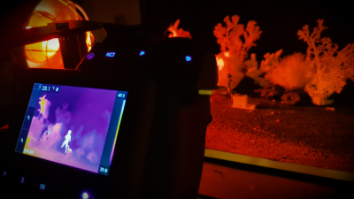 Still image of WWF - In Hot Water by NOMINT