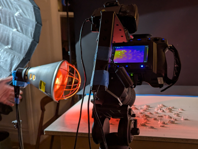 Still image of WWF - In Hot Water by NOMINT