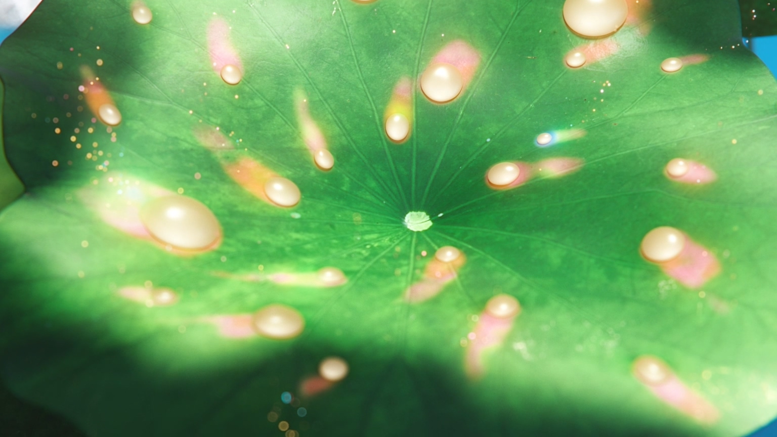2023 INNISFREE Green Holiday Edition by auv, a nominee on Motion Design Awards