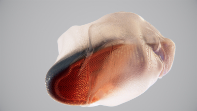 Still image of Nike Jordan Sneaker by Selim ARI