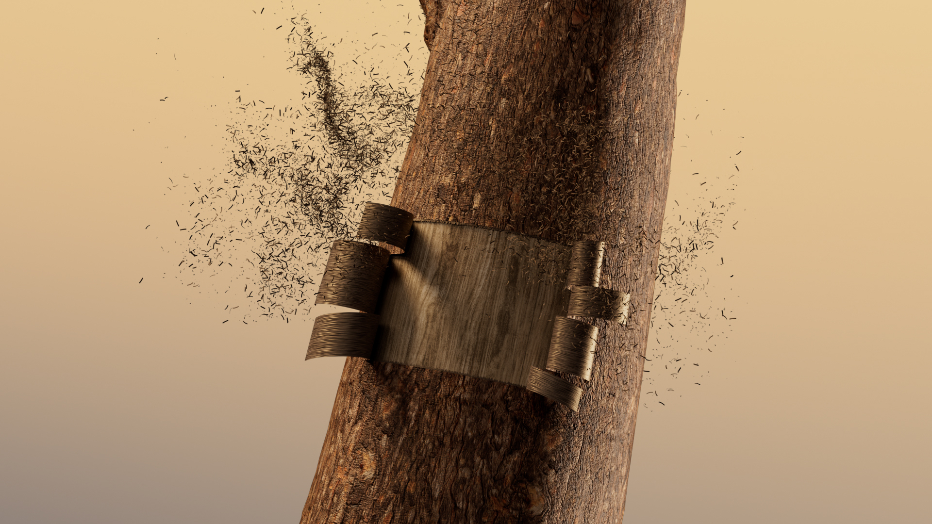 Wood Origins by Gavin Sew, a nominee on Motion Design Awards