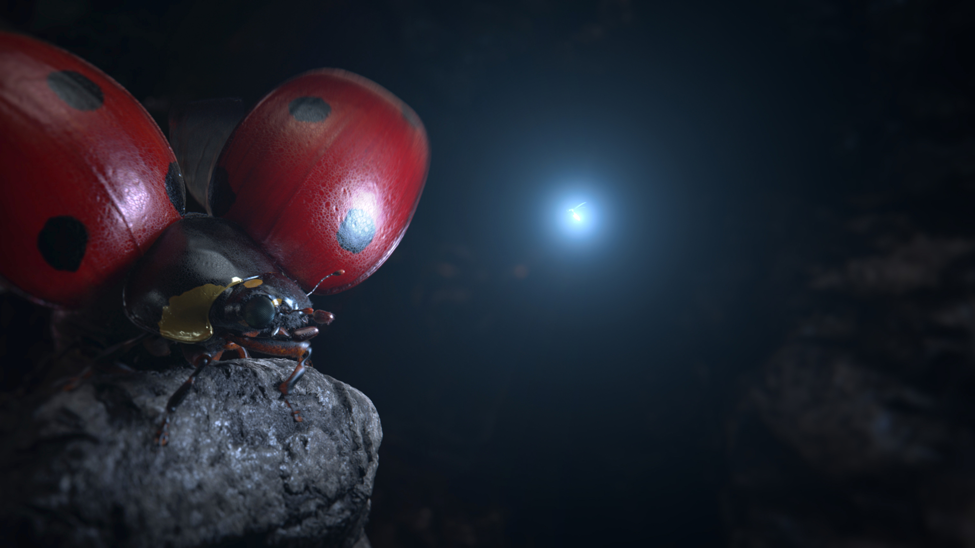 plume of light by plume.tv, a nominee on Motion Design Awards