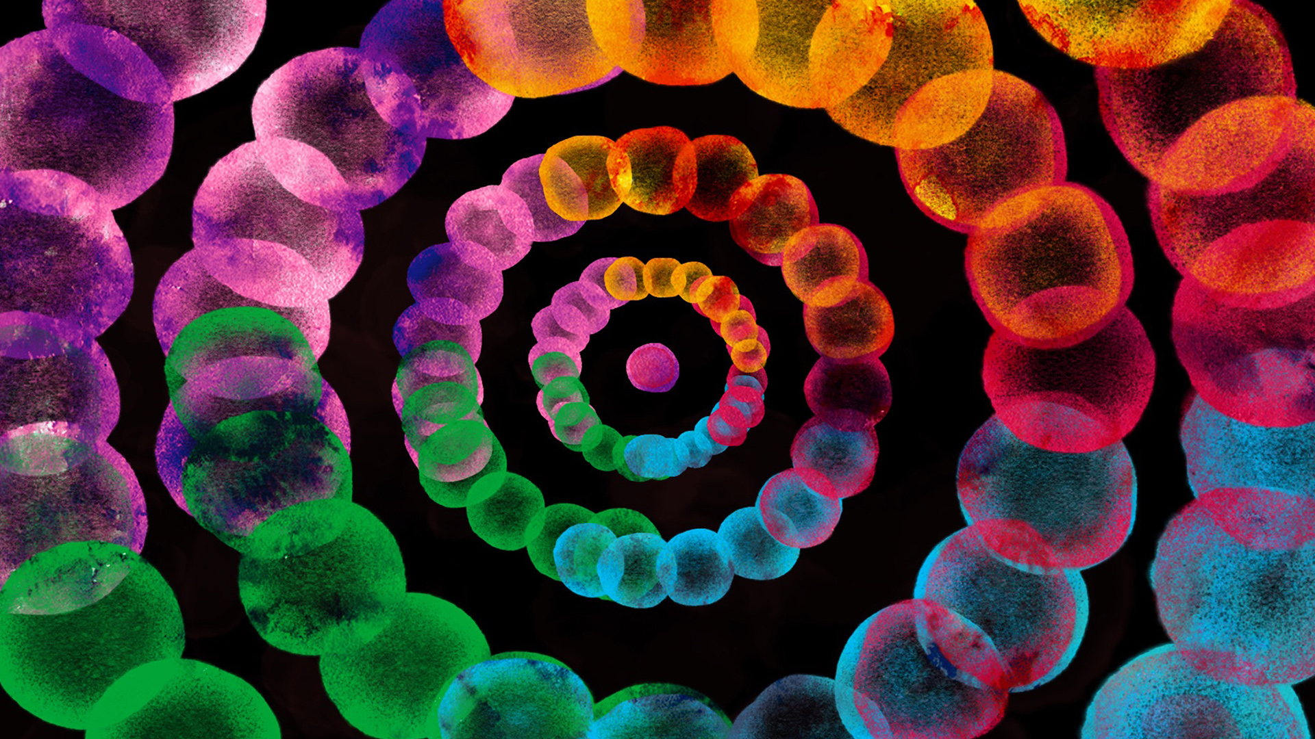 Catgot by Tsz-wing Ho, a nominee on Motion Design Awards