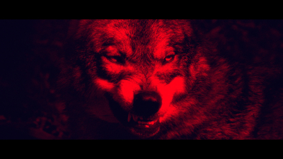 Still image of We Hunt Together - Title Sequence (UKTV Original / BBC Studios) by UKTV Creative