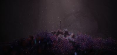 Still image of Mt. Floret by Dan Ulv