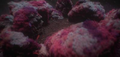 Still image of Mt. Floret by Dan Ulv