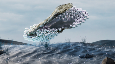 Still image of mmmolab ad - Pearl Beauty by wes_workshop