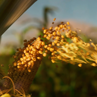 Still image of BAC Credomatic by Kutuko Studio by KUTUKO STUDIO