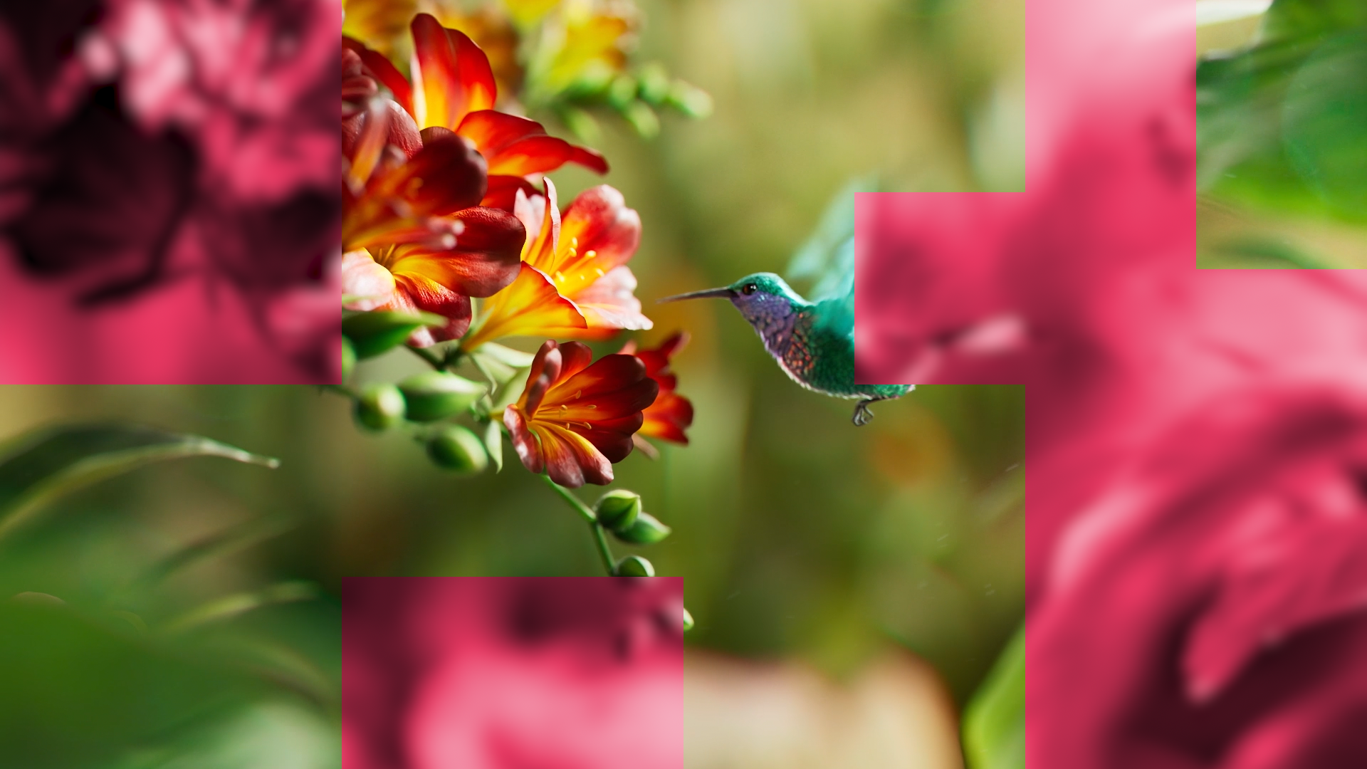 2025 Kutuko Motion Reel by KUTUKO STUDIO, a nominee on Motion Design Awards