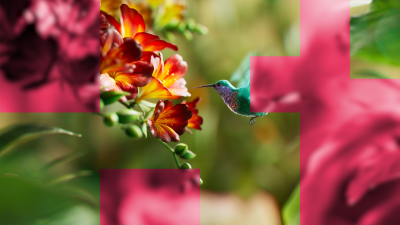 Still image of 2025 Kutuko Motion Reel by KUTUKO STUDIO