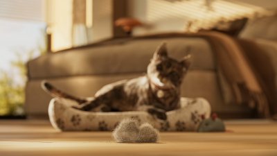 Still image of XIAOMI Love Story by KUTUKO STUDIO