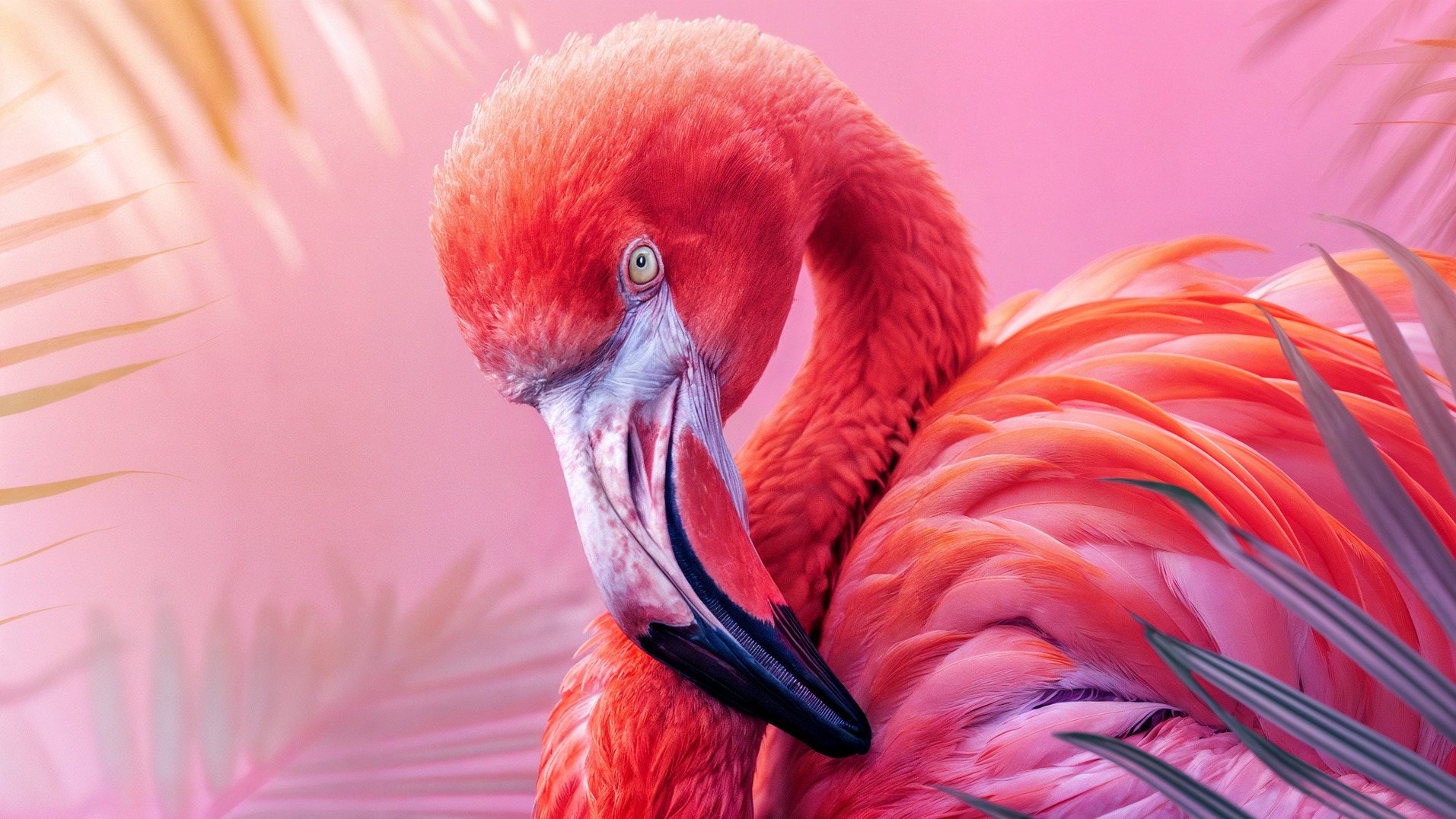 ππ‘ππ πππ¦ β π§π΅π² ππΏπ πΌπ³ π¦ππΆπΉπΉπ»π²ππ by KUTUKO STUDIO, a nominee on Motion Design Awards